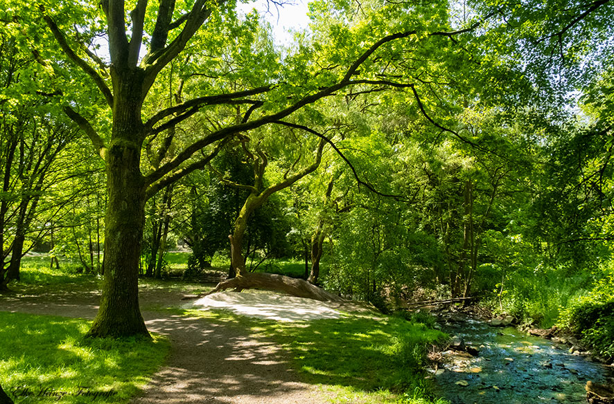 Hui-ui-ui – Sommer!